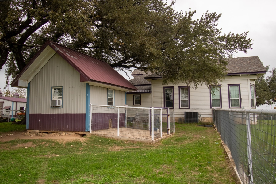 Back yard and kennels