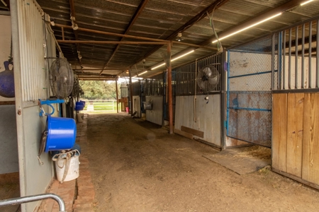 100 Acre Horse Farm w/ Home & Creek Near Waco & Temple TX - image 13