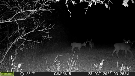 Adair County, MO Acreage FOR SALE! - image 2