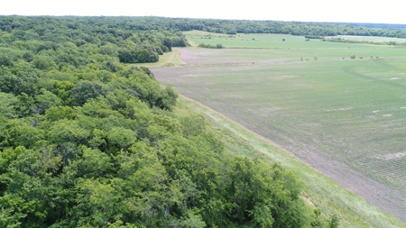 Adair County, MO Acreage FOR SALE! - image 28