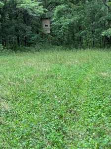 Adair County, MO Acreage FOR SALE! - image 9