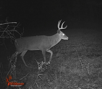 Adair County, MO Acreage FOR SALE! - image 35