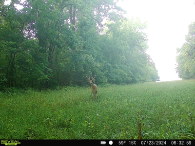 Adair County, MO Acreage FOR SALE! - image 34