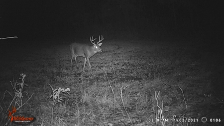 Adair County, MO Acreage FOR SALE! - image 5
