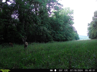 Adair County, MO Acreage FOR SALE! - image 33