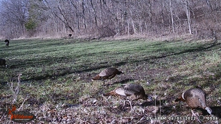 Adair County, MO Acreage FOR SALE! - image 7