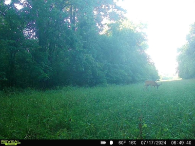 Adair County, MO Acreage FOR SALE! - image 29