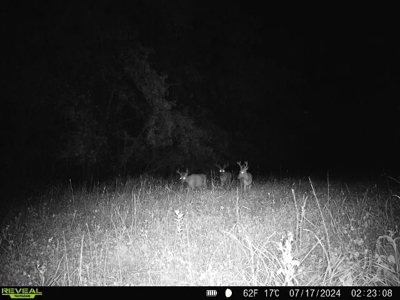 Adair County, MO Acreage FOR SALE! - image 30