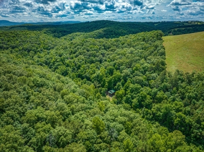 Searcy County Land With Views, Creek, Game  & Cabin For Sale - image 13