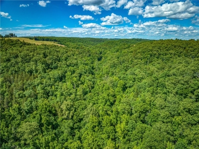 Searcy County Land With Views, Creek, Game  & Cabin For Sale - image 16