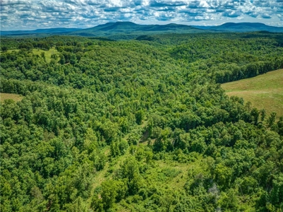 Searcy County Land With Views, Creek, Game  & Cabin For Sale - image 11