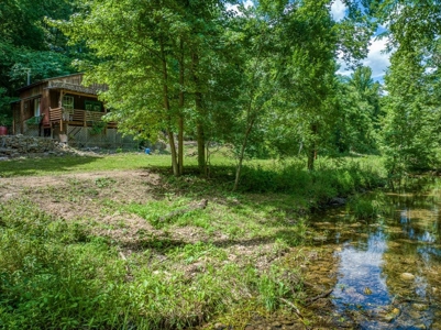 Searcy County Land With Views, Creek, Game  & Cabin For Sale - image 21