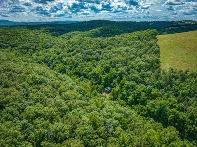 Searcy County Land With Views, Creek, Game  & Cabin For Sale - image 13