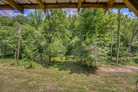Searcy County Land With Views, Creek, Game  & Cabin For Sale - image 22