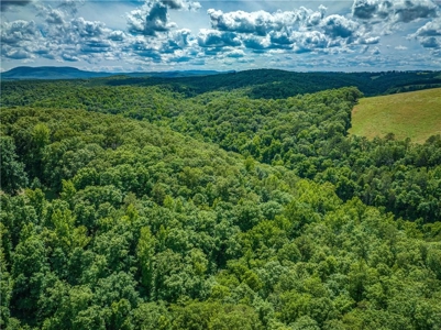 Searcy County Land With Views, Creek, Game  & Cabin For Sale - image 9