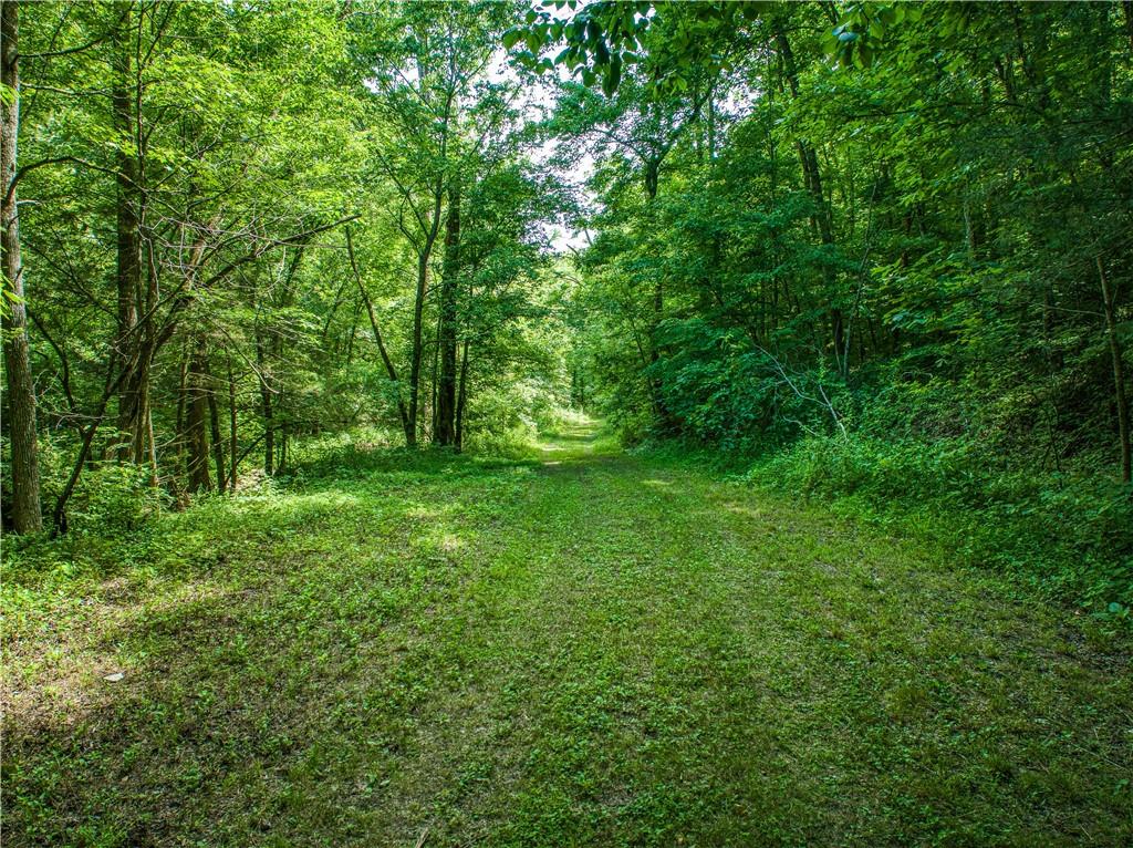 No Description