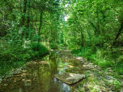 Searcy County Land With Views, Creek, Game  & Cabin For Sale - image 1