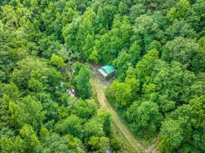 Searcy County Land With Views, Creek, Game  & Cabin For Sale - image 17