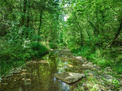 Searcy County Land With Views, Creek, Game  & Cabin For Sale - image 2