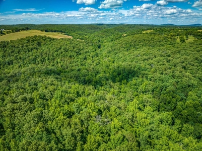 Searcy County Land With Views, Creek, Game  & Cabin For Sale - image 29