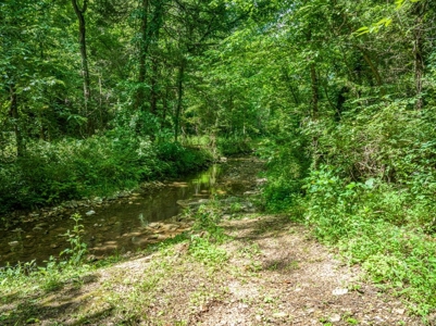 Searcy County Land With Views, Creek, Game  & Cabin For Sale - image 26