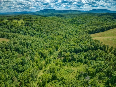 Searcy County Land With Views, Creek, Game  & Cabin For Sale - image 16