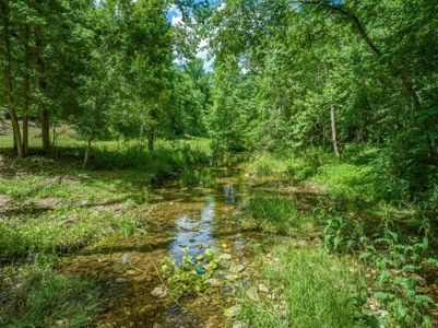 Searcy County Land With Views, Creek, Game  & Cabin For Sale - image 2