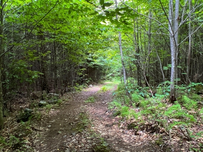 Maine Lakeside Retreat - image 17