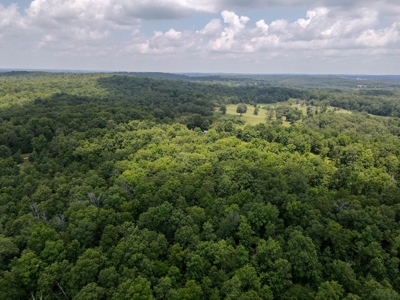 Country Home / Cabin and Acreage in Oregon County Missouri - image 27