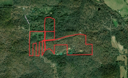 Country Home / Cabin and Acreage in Oregon County Missouri - image 2