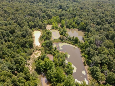 Country Home / Cabin and Acreage in Oregon County Missouri - image 26