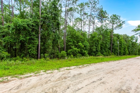 Hamilton County Land For Sale !! - image 2