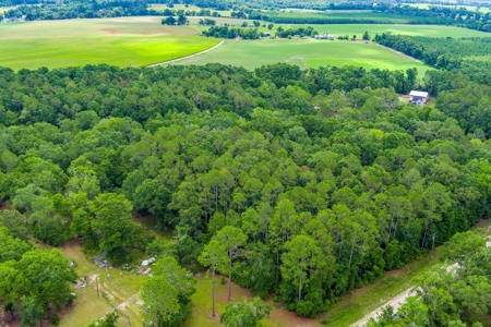 Hamilton County Land For Sale !! - image 9