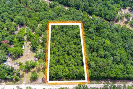 Hamilton County Land For Sale !! - image 1