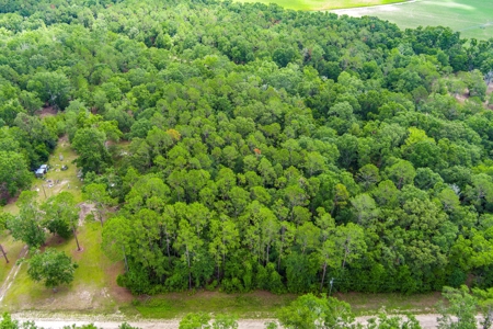 Hamilton County Land For Sale !! - image 13