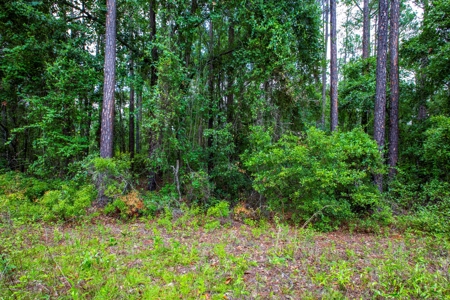 Hamilton County Land For Sale !! - image 3