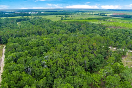 Hamilton County Land For Sale !! - image 6