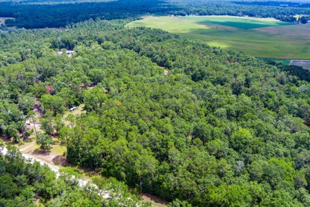 Hamilton County Land For Sale !! - image 5