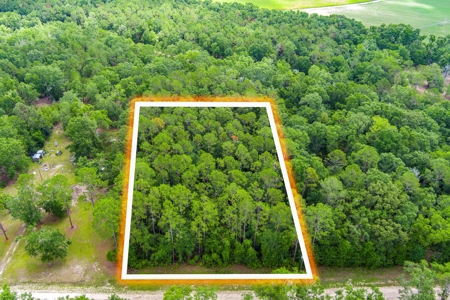 Hamilton County Land For Sale !! - image 14