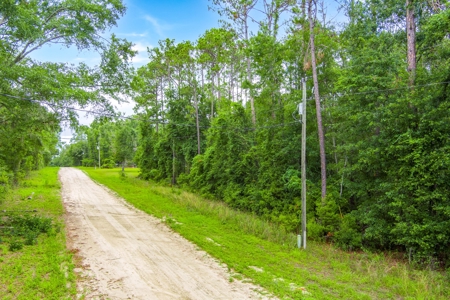 Hamilton County Land For Sale !! - image 16