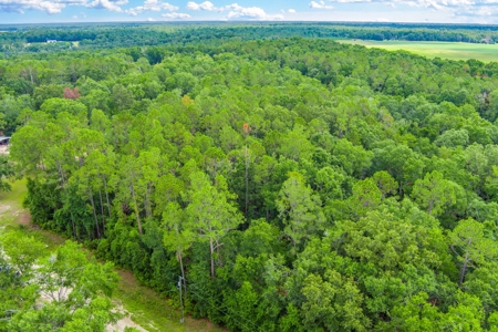 Hamilton County Land For Sale !! - image 11