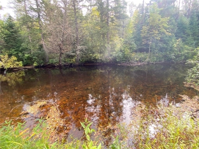 Updated Riverfront Home w/ Garage For Sale in Moose Lake MN - image 25