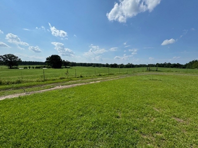 Country Home with 4.023 Acres in Morris County Texas - image 20