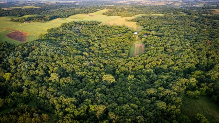 Iowa Hunting & Recreational Land For Sale w/ Home & Building - image 5