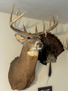 Iowa Hunting & Recreational Land For Sale w/ Home & Building - image 19
