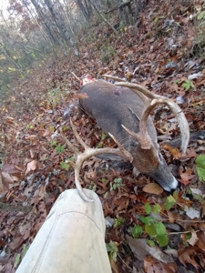 Iowa Hunting & Recreational Land For Sale w/ Home & Building - image 49