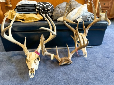 Iowa Hunting & Recreational Land For Sale w/ Home & Building - image 23