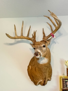 Iowa Hunting & Recreational Land For Sale w/ Home & Building - image 22