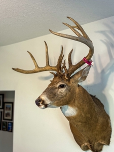 Iowa Hunting & Recreational Land For Sale w/ Home & Building - image 21