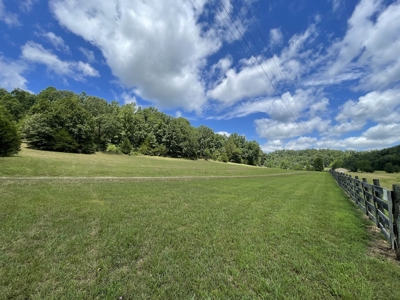 Luxury Home With Acreage For Sale in Waverly, Tennessee - image 8